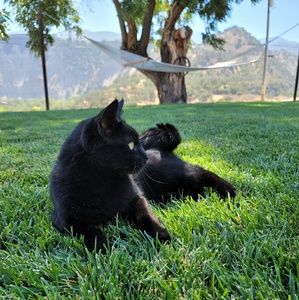 Meet your Posher, Maddi